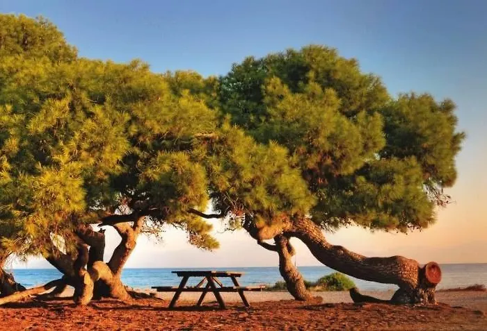 Villa Melissi Luxury Xylokastro